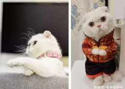 娱乐吃瓜君说刘二豆,娱乐吃瓜君揭秘娱乐圈新宠