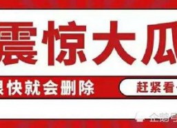 娱乐吃瓜项目,吃瓜群众带你领略幕后风云